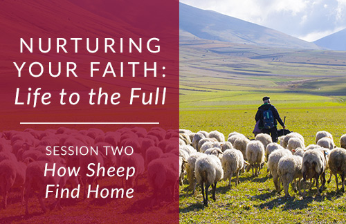 Nurturing Your Faith: Life to the Full