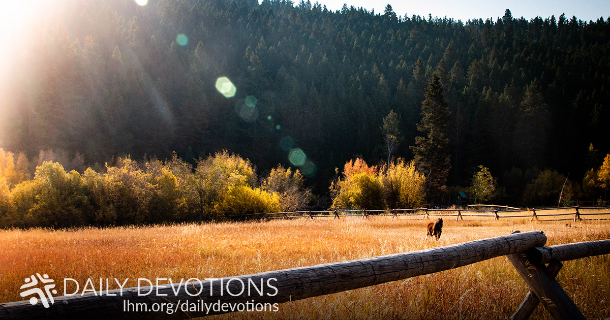Devotion