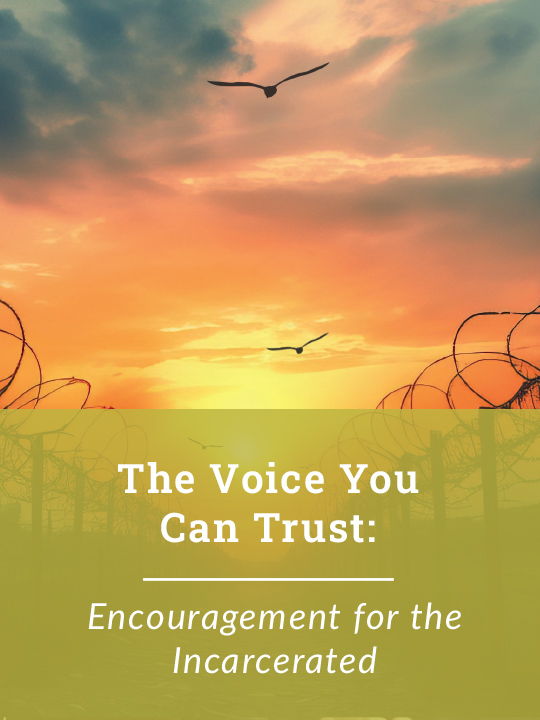 The-Voice-You-Can-Trust The Voice You Can Trust