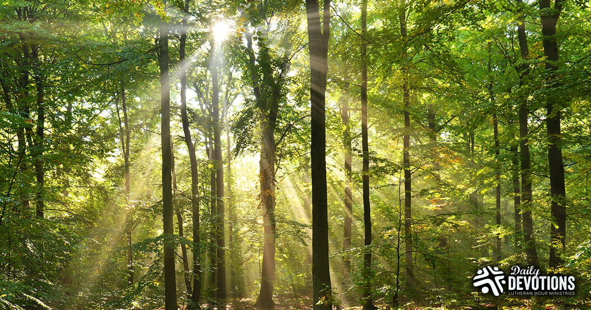 The Comfort That Is Ours in Christ