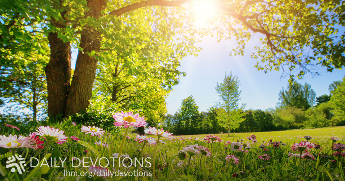 Preview of the Cross