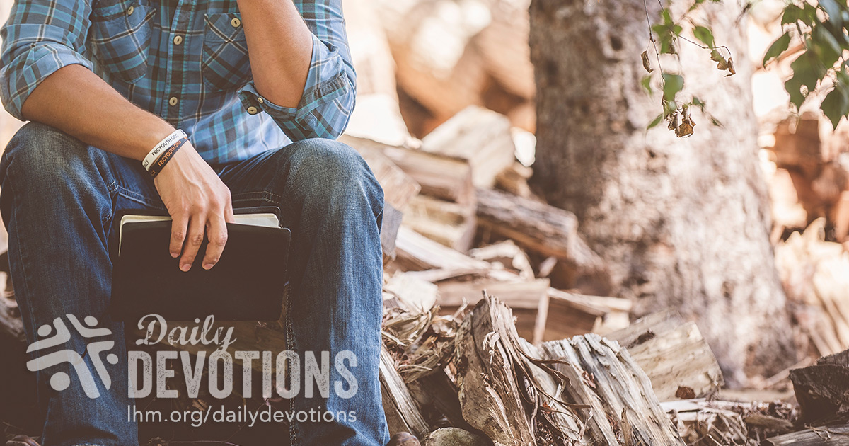 Shepherd, Lamb, and Lord