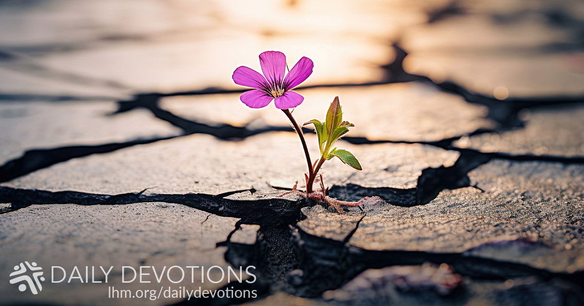 Don’t Despise Small Beginnings