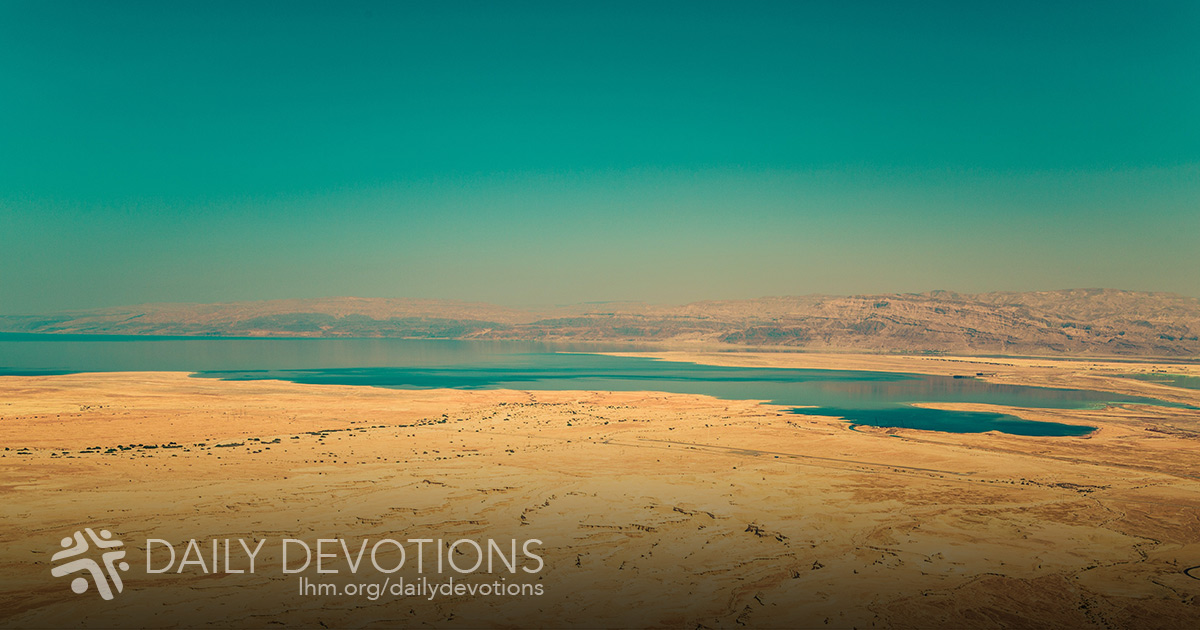 A Kingdom of Priests