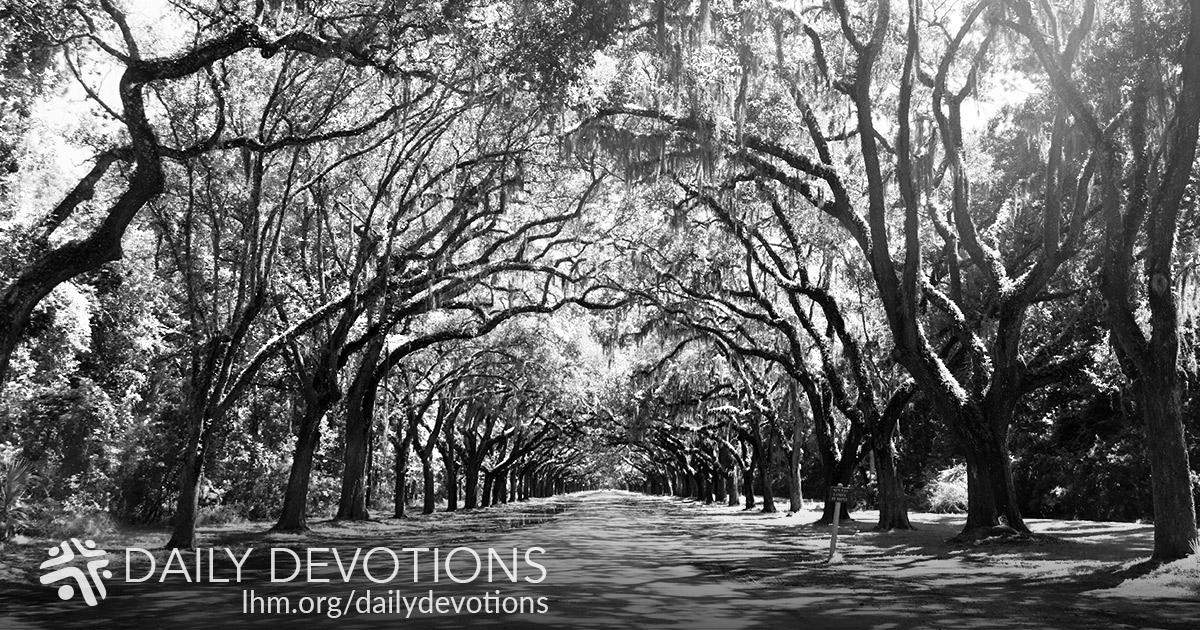 Knight, Death, and the Devil