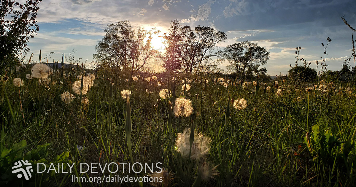 Believing Our Forgiveness